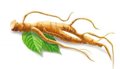 Ginseng to improve potentials in 50 years
