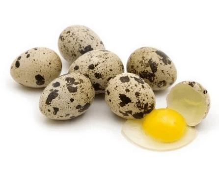 Shit eggs